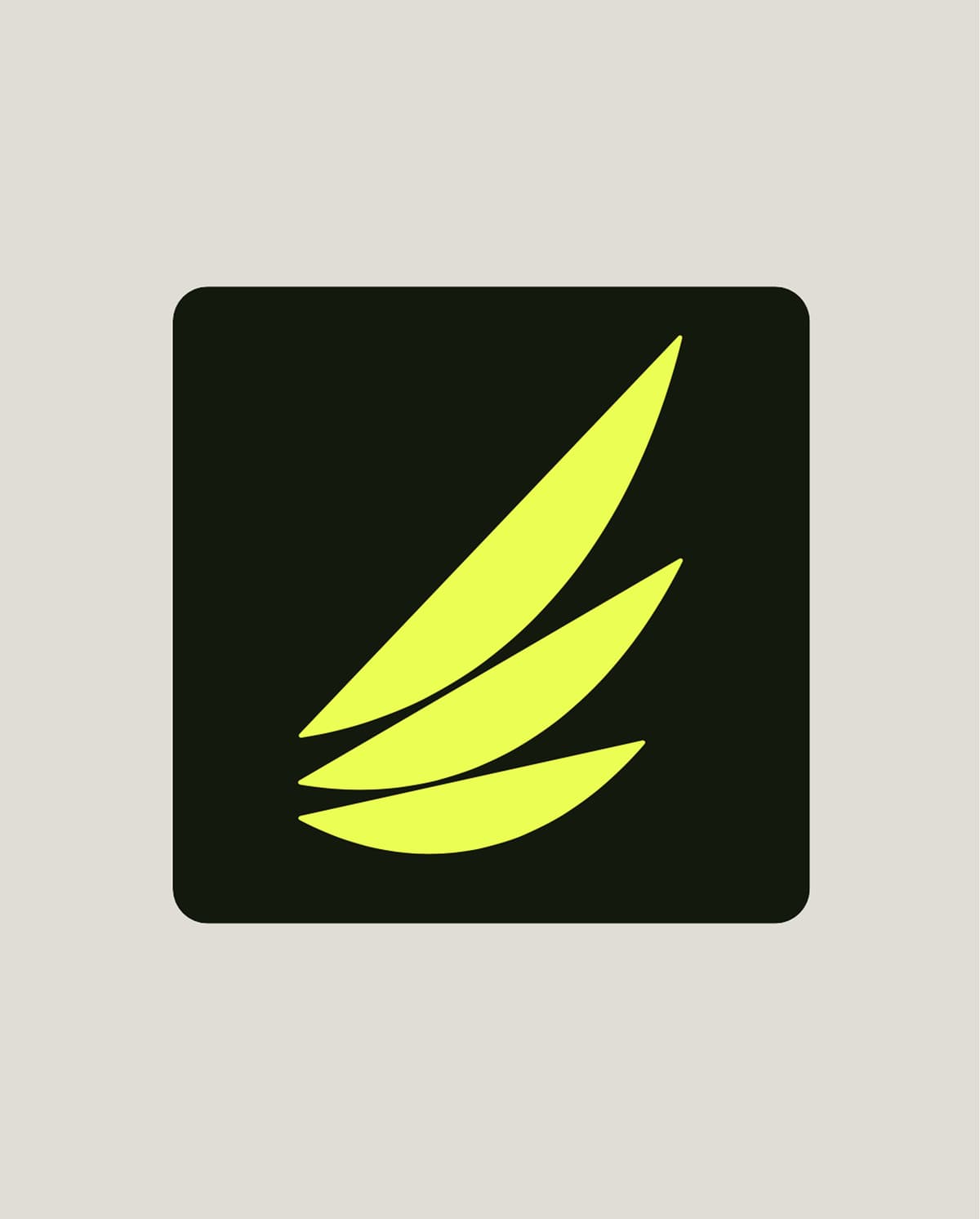 Big Buddy - Création site web plateforme cryptomonnaies par agence web Lille R&D Studio