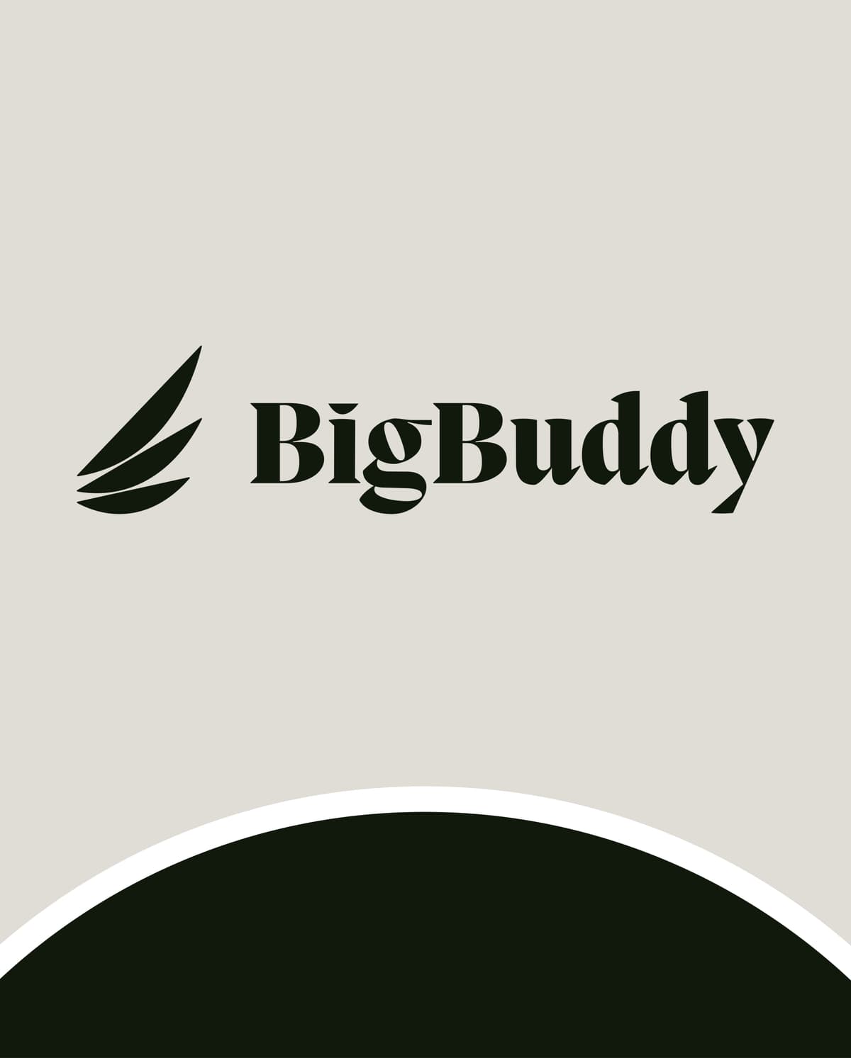 Big Buddy - Création site web plateforme cryptomonnaies par agence web Lille R&D Studio